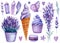 Sweet set, ice cream, cupcake, lavender flower and butterfly, watercolor illustration