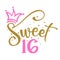 Sweet Sixteen 16th Birthday teenage girl year anniversary