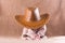 Sweet sleeping baby in a cowboy hat