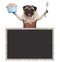 Sweet smiling pug puppy dog holding food bowl with treats and wearing leather apron, with blank blackboard sign