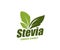 Sweet stevia leaves, sweetener sugar substitute