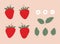 Sweet strawberry set. Ripe strawberries, leaves and flowers. Cartoon flat vector illustration