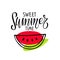 Sweet summertime lettering with watermelon slice. Inspirational quote about summer. Modern calligraphy phrase with hand