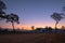 sweet sunrise above the big trees in the rice field