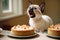 Sweet Surprise: Siamese Kitten\\\'s Cake Expedition