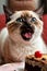 Sweet Surprise: Siamese Kitten\\\'s Cake Expedition