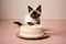 Sweet Surprise: Siamese Kitten\\\'s Cake Expedition