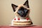 Sweet Surprise: Siamese Kitten\\\'s Cake Expedition