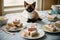 Sweet Surprise: Siamese Kitten\\\'s Cake Expedition