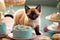 Sweet Surprise: Siamese Kitten\\\'s Cake Expedition