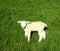 sweet swiss easter lamb on a green meadow in the sunshine