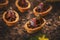 Sweet tartlets with chocolate cream