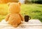 Sweet Teddy bear with cup of coffee