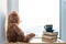 Sweet Teddy bear with cup of coffee. At a morning sun light. Good morning concept