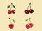 Sweet Temptation - Illustration of Cherries