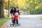 Sweet toddler boy, riding tricycle in the park on sunset, autumn