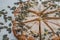 Sweet vanilla pumpkin seed shortbread on a table