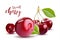 Sweet Vector 3D Realistic Cherry, isolated on white background.