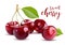 Sweet Vector 3D Realistic Cherry, on white background.