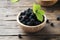 Sweet wild blackberry on the wooden table