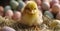 Sweet Yellow Baby Chick with Colorful Easter Eggs - Generative AI