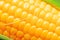 Sweet yellow corn cobs macro