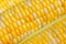 Sweetcorn closeup