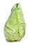 Sweetheart Cabbage