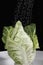 Sweetheart cabbage under jet of water