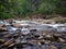 Sweetwater Creek Flowing in Sweetwater Creek State Park