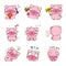 Sweety pig character design