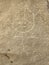 Swelter Shelter Petroglyphs - Dinosaur National Monument - Vernal - Utah