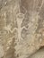 Swelter Shelter Petroglyphs - Dinosaur National Monument - Vernal - Utah
