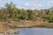 Sweni river landscape scenic view of the dam from the bird hide with impala on the bank in Kruger National Park