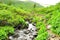 A swift stream with a rocky bed flows down from the mountains through thickets of low bushes on a cloudy summer day