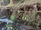 a swift stream of water with large and small rocks as well as earthen walls and tree roots beside it