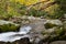 Swift water from a mountain stream flowing around moss covered boulders in autumn, fall leaves