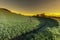 Swiiss landscape with meadows