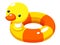 Swim ring duck