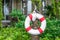 Swim ring (life buoy) for lifesaver on the side swimming pool