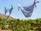 Swim suits dry in citrus garden in Sicily