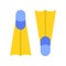 Swimfins vector, Summer Holiday related flat icon