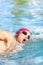 Swimmer man swimming crawl in blue water