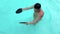 Swimmer. Professional swimmer prepares for competitions in the pool. Young athletic man wearing swimming goggles and mad