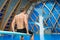 Swimmer sits on a platform for diving