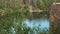 Swimmer swims in the lake. Water Quarry with rocky shores.