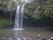 Swimmer under twin falls on maui`s famous road to hana,