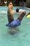 Swimming boy in pool revalidation center