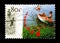 Swimming children with rowing boat, Holland Promotion serie, circa 1997