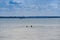 Swimming couple in lake Balaton at summertime